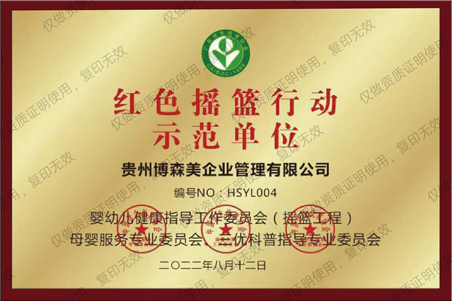 博森美荣誉证书